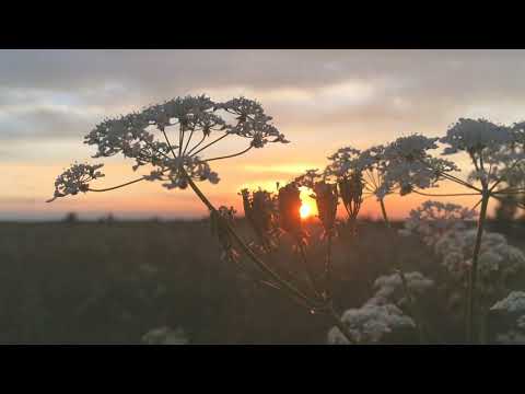 Beautiful uplifting and relaxing music ¬ Arms of Gold by Tape Machine
