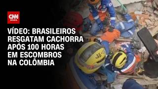 Vídeo: Brasileiros resgatam cachorra após 100 horas em escombros na Colômbia; veja vídeo | CNN BRASIL