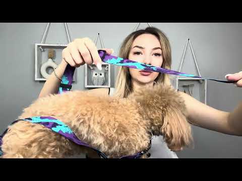 Hotsky Heavy Duty Dog Leash with Two Padded Handles,4.5-6 FT Adjustable Nylon Seatbelt Dog Leash #ad