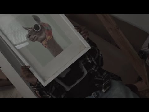 awesomecat2011 - blunt talk