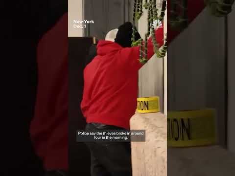 Thieves steal $2 million in luxury clothing store heist