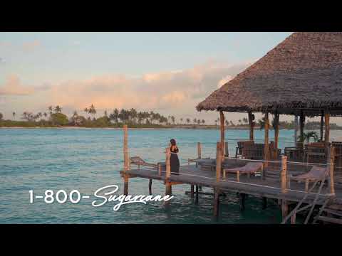 Video thumbnail for Sugarcane