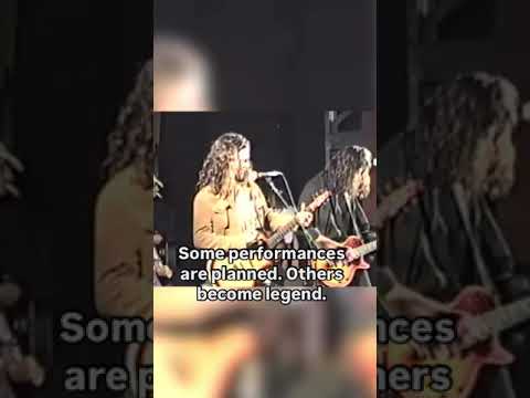 Hunger Strike LIVE at Lollapalooza ‘92 – The Secret Performance That Stole the Show#templeofthedog