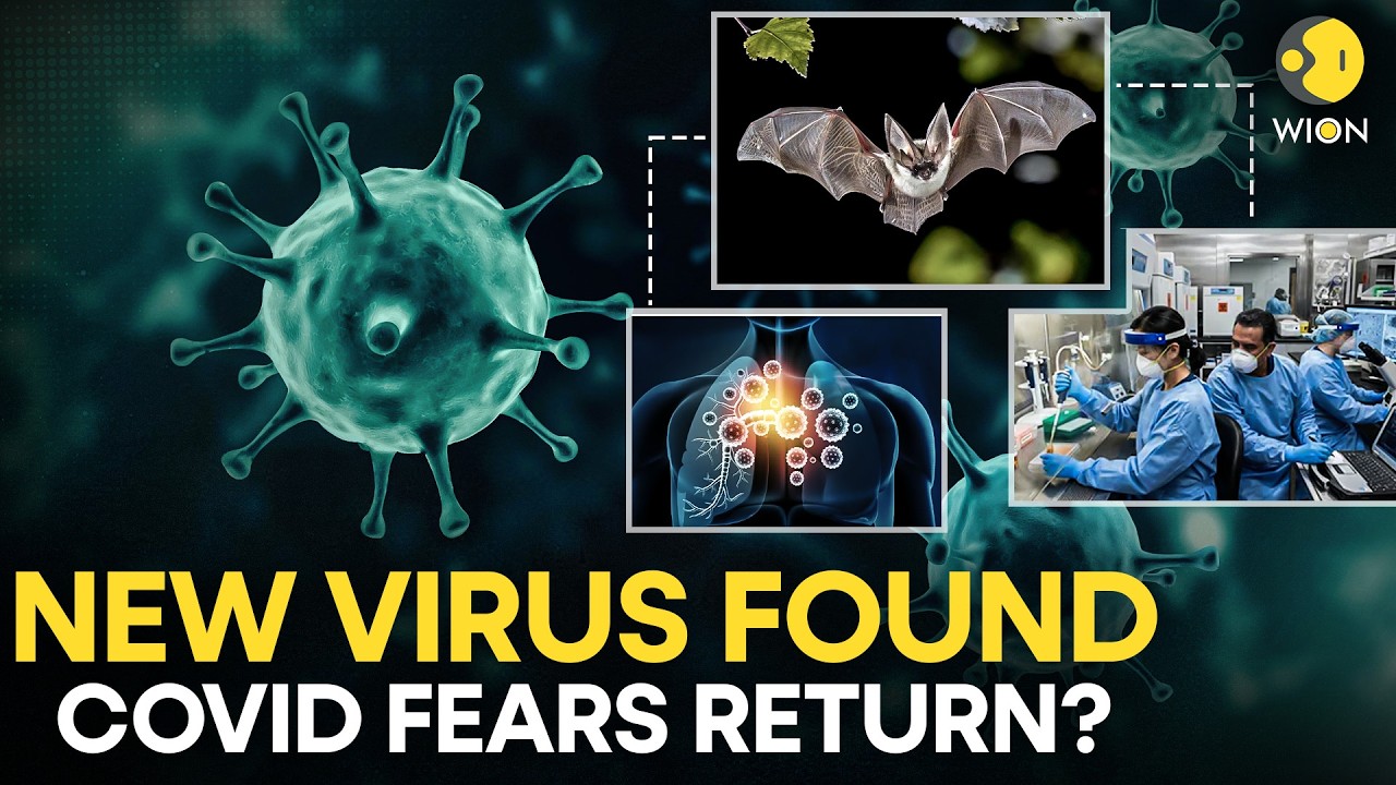 New Coronavirus Found: New Bat Coronavirus Raises Fresh Fears of Human Spread | WION ORIGINALS