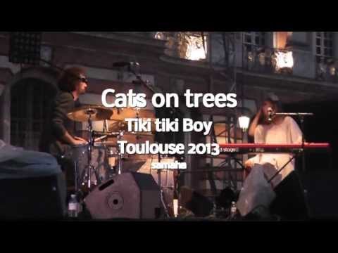 Cats on trees Tiki Tiki boy