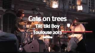 Cats on trees Tiki Tiki boy