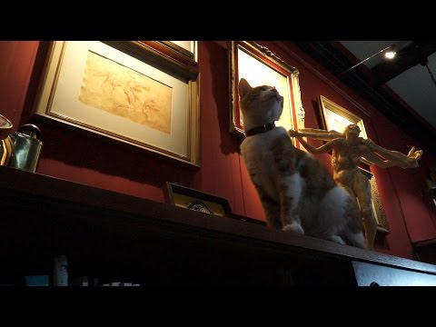 Interview to the studio