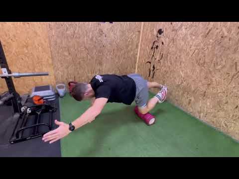Bird Dog Pro 2 0