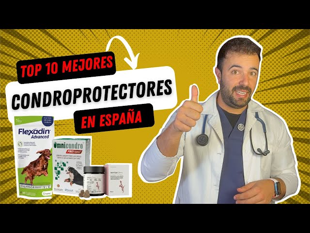 Vídeo relacionado con Condroprotector para Perros, 150 Unidades, 100% Natural, Antiinflamatorio, Articulaciones y Cartílagos, Antiartrosis con Colágeno, Glucosamina, Condroitina, MSM, Ácido Hialurónico, Omega 3 y 6