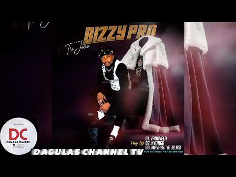 BIZZY PRO - VANAVELA  2025