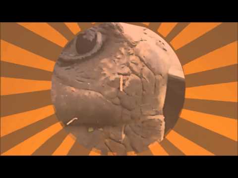 The Helmholtz Resonators - Sunshine Fen Dreyton Remix