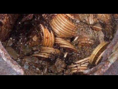 Define Bulma Anı / Bir Küp Altın /HD