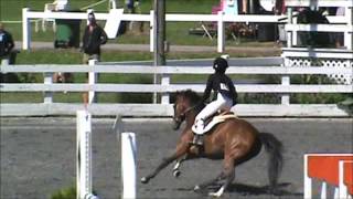Ever After at St Christopher's Benefit Horse Show 2013 Pony Jumper Classic