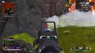 Ape