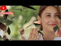 LOKSindhi Songs New Mumtaz Molai New Song Mumtaz Molai Song Shaman Ali Mirali Old Song