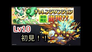 【パズドラ】チャレンジダンジョン10 初見ノーコン ヨグソトースPT