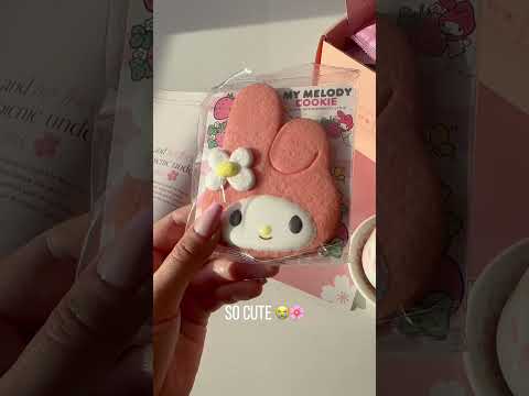 HelloKitty and Friends + Bokksu Snack Box | Trying Out The New Hello Kitty Snack Box