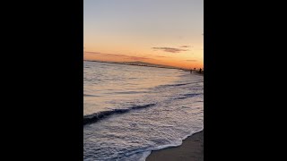 Aloha Hawaii - LoFi Music Video