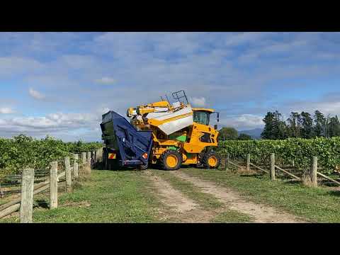 Pernod Ricard Winemakers - Day in the life of a Harvest Assistant in Marlborough