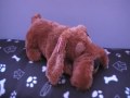 Droopy Snoring Dog