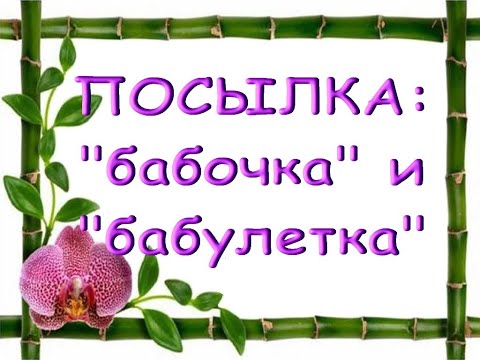 Роскошная "БАБОЧКА" Фронтера И потрясающая "БАБУЛЕТКА":посылка с ОРХИДЕЯМИ!!! Пелорики.