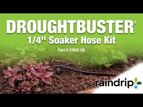 download lagu mp3 mp4 Raindrip Soaker Hose, download lagu Raindrip Soaker Hose gratis, unduh video klip Raindrip Soaker Hose