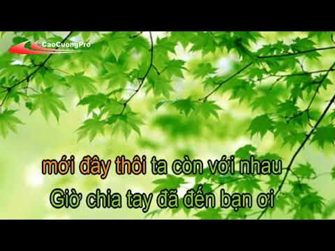 Tạm Biệt Karaoke - Quang Vinh