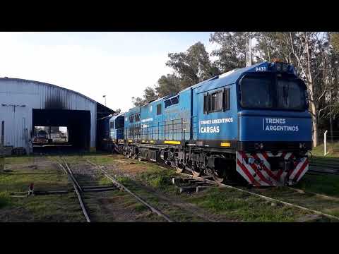 CRRC Trenes Argentinos Cargas Línea San Martin EN SOLDINI