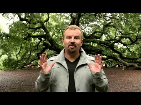Casting Crowns - Mark Hall