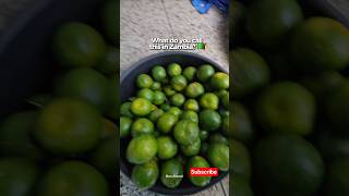 Unbelievable! Do you know what Zambians call this fruit? #GhanaianGirlInZambia #Zambia #Livingstone