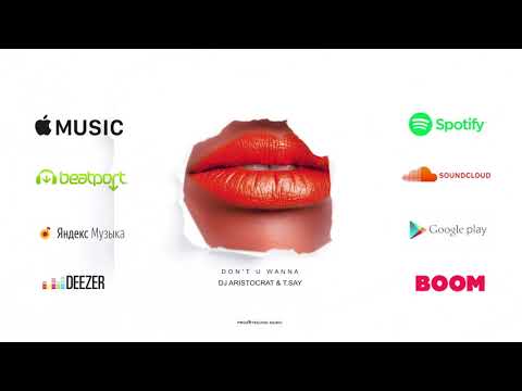DJ Aristocrat & T.Say - Don't U Wanna (Fabio Vee Remix) / OUT NOW