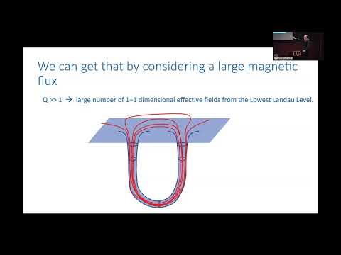 2+1 Dimensional QED in a Magnetic Field - Juan Maldacena
