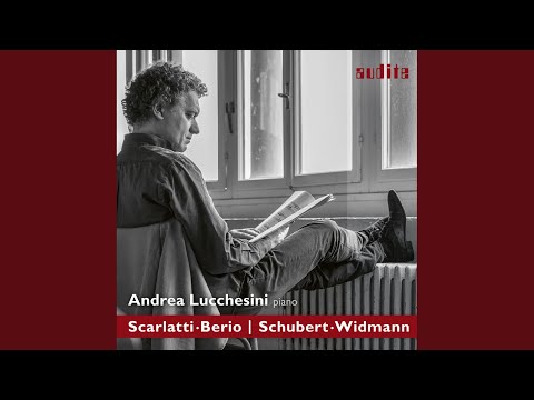 Idyll and Abyss. Six Schubert Reminiscences for Piano: II. Allegretto, un poco agitato