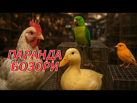 Наманган паранда бозори