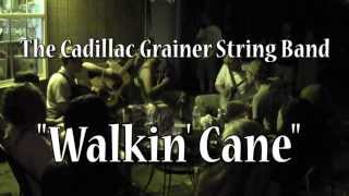 The Cadillac Grainer String Band  