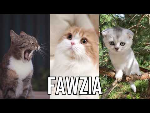 JOYEUX ANNIVERSAIRE FAWZIA