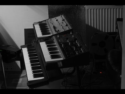 RITM-2 - Soviet Analog Synthesizer with MIDI ussr russian moog prodigy (ID: alexstelsi) image 13