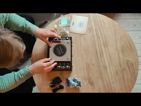 T-Rex Binson Echorec - Drum Delay image 7