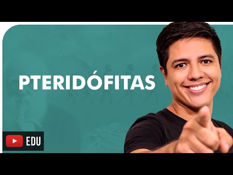 PTERIDOPHYTES - BOTANY - Prof. Kennedy Ramos