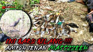 Download lagu WAJIB DICOBA ❗INI BARU SUARA PIKAT SINTAR MANTAP mp3 Download lagu WAJIB DICOBA ❗INI BARU SUARA PIKAT SINTAR MANTAP mp3