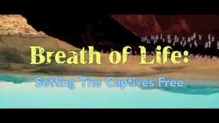 Set The Captives Free