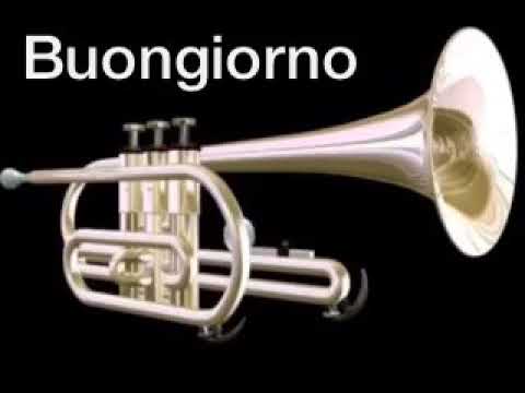 Il Trombettiere sveglia i FANNULLONI!!