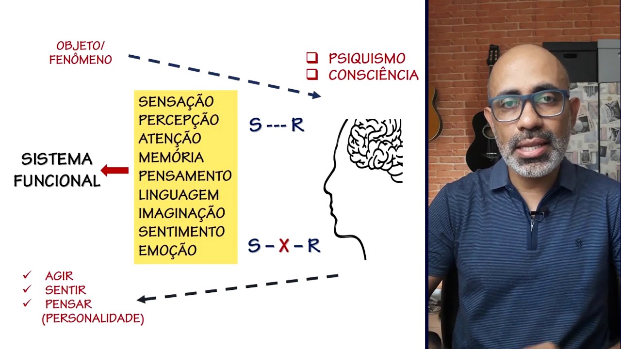 Processos psicológicos básicos | Vetor Editora