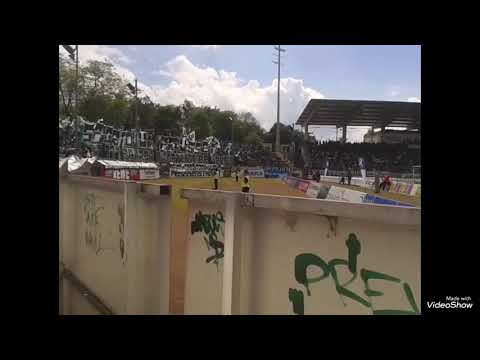 Gänsehaut Choreografie Von den Preußen Münster Fans💚😍