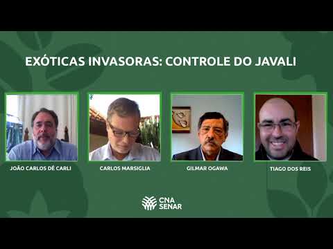 Live - Exóticas Invasoras: controle do Javali