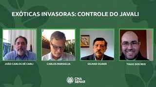 Miniatura do vídeo
