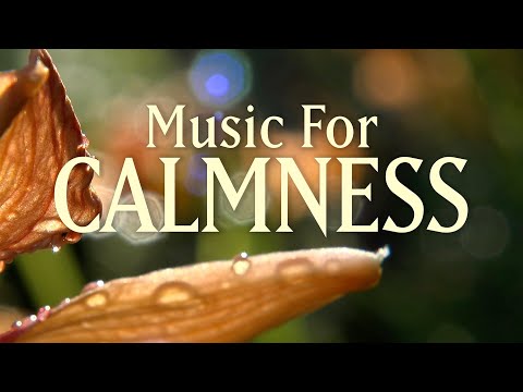 download lagu mp3 mp4 Massage Planet Edm, download lagu Massage Planet Edm gratis, unduh video klip Massage Planet Edm