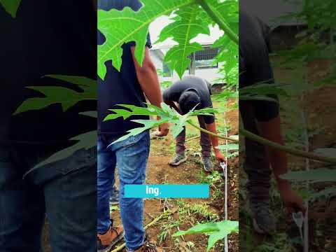 Aprender Agroecología con las manos en la tierra 🌱