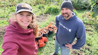Harvesting 210 lbs of Carrots, Fresh Herbs & Horseradish Root