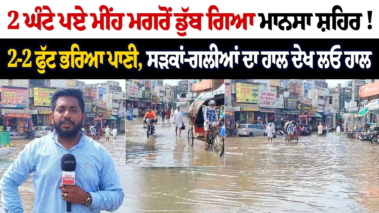 Punjab Weather Update: Mansa Witnesses Heavy Rainfall in The District Punjab Weather Update: Mansa Witnesses Heavy Rainfall in The District